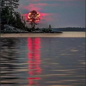 Meet your Posher, Robin